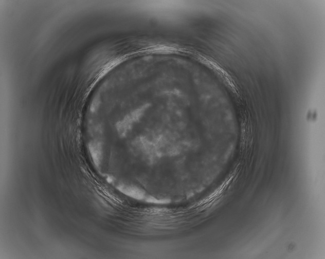 X0000094821170200712141638