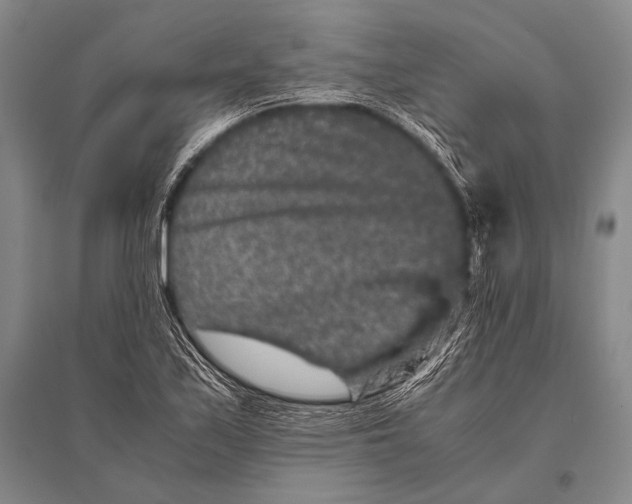 X0000094821171200712141638