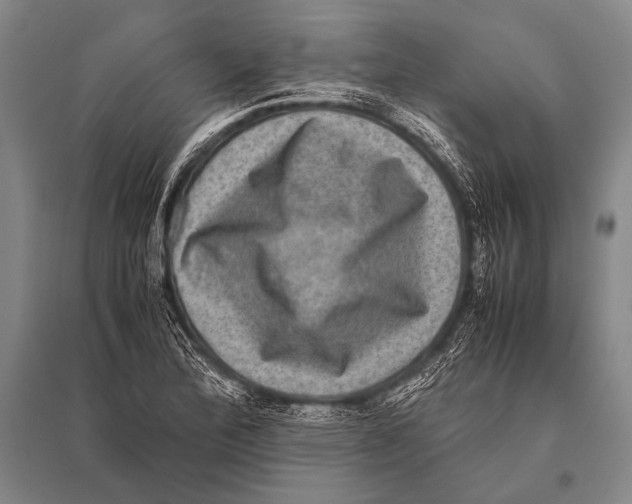 X0000094821172200712141638