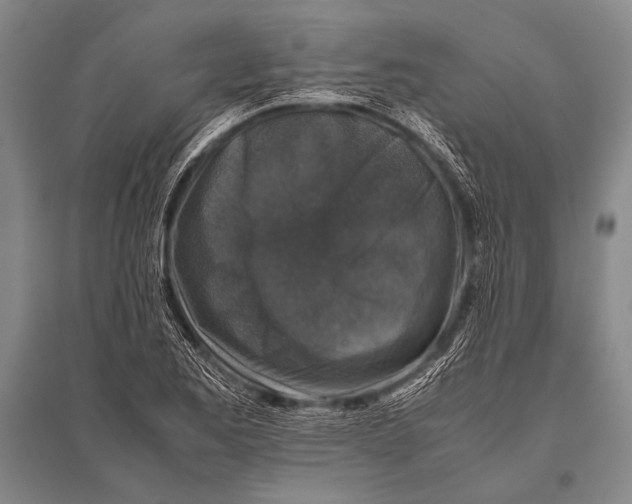 X0000094821173200712141638