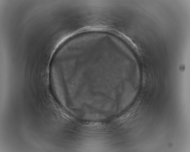 X0000094821174200712141638