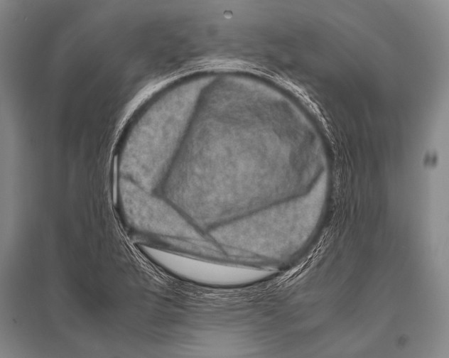 X0000094821175200712141638