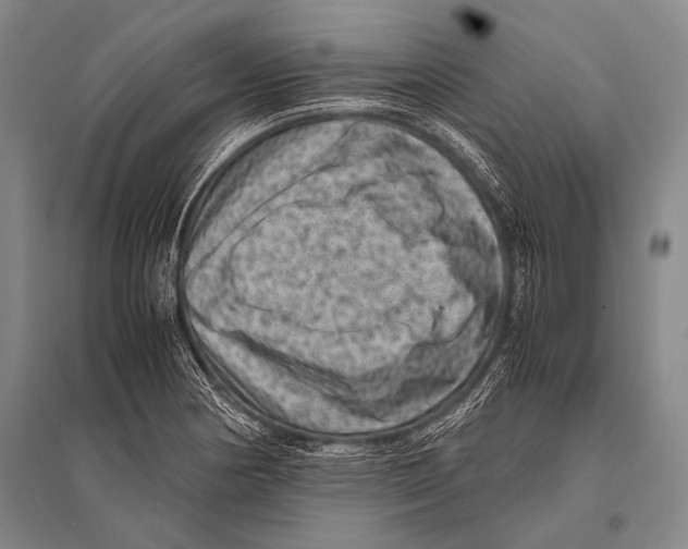 X0000094821178200712141638