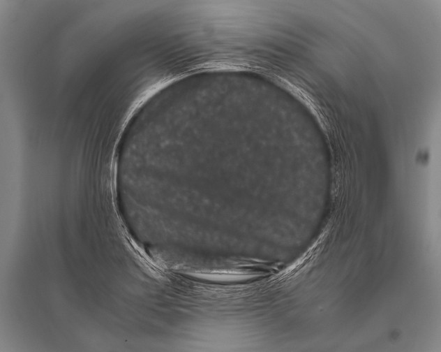 X0000094821179200712141638