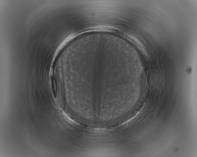 X0000094821180200712141638