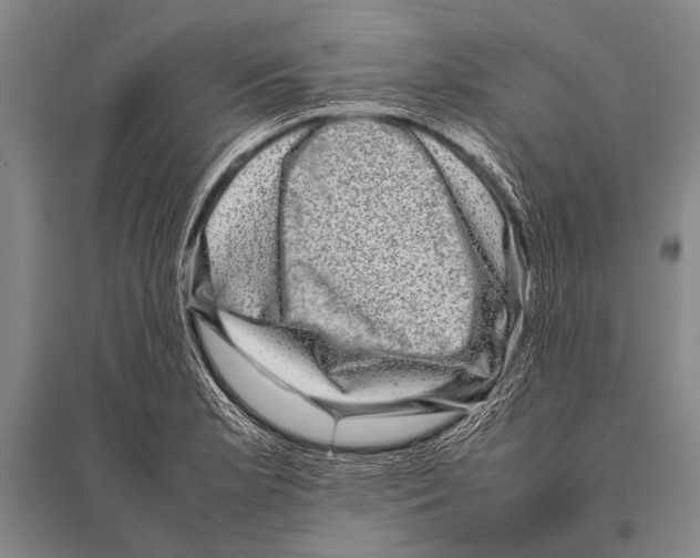 X0000094821181200712141638