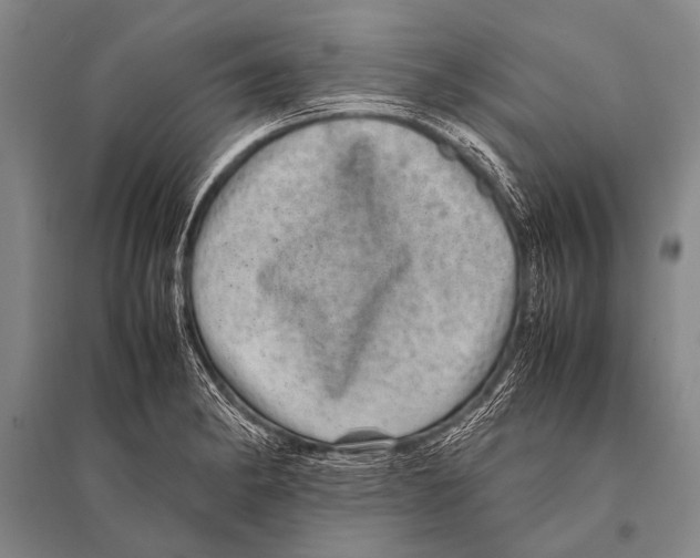 X0000094821182200712141638