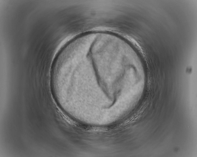 X0000094821183200712141638