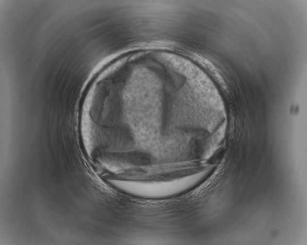 X0000094821184200712141638