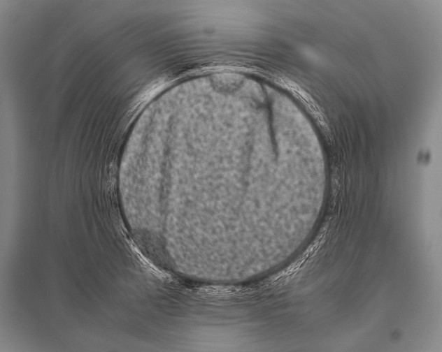 X0000094821185200712141638