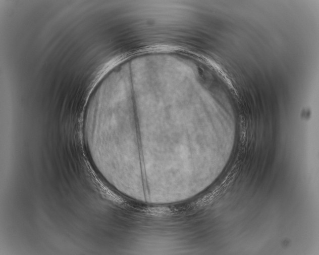 X0000094821186200712141638