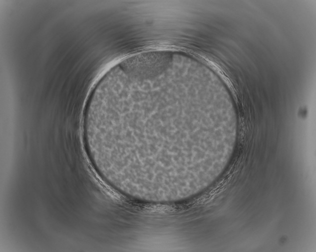 X0000094821187200712141638