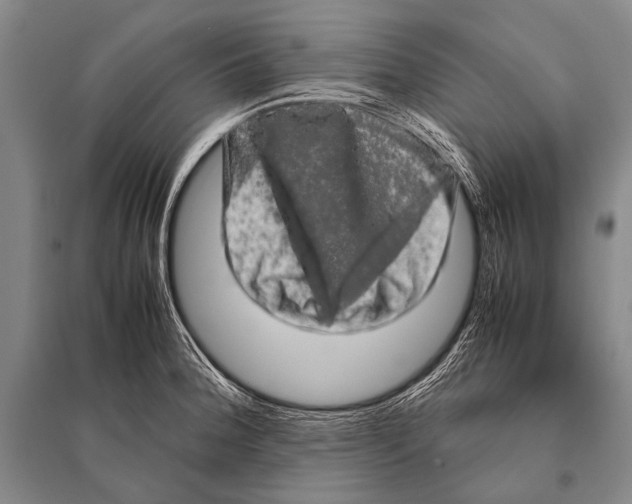 X0000094821188200712141638