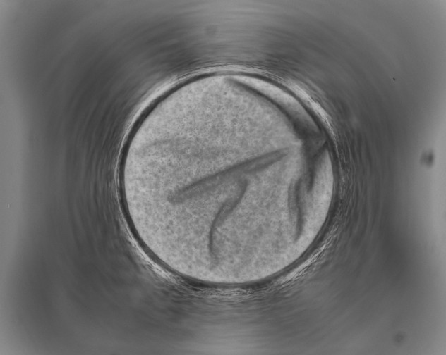 X0000094821189200712141638