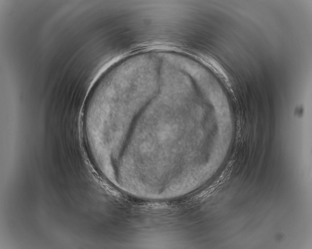 X0000094821190200712141638