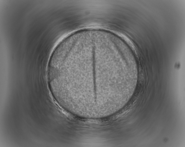 X0000094821191200712141638