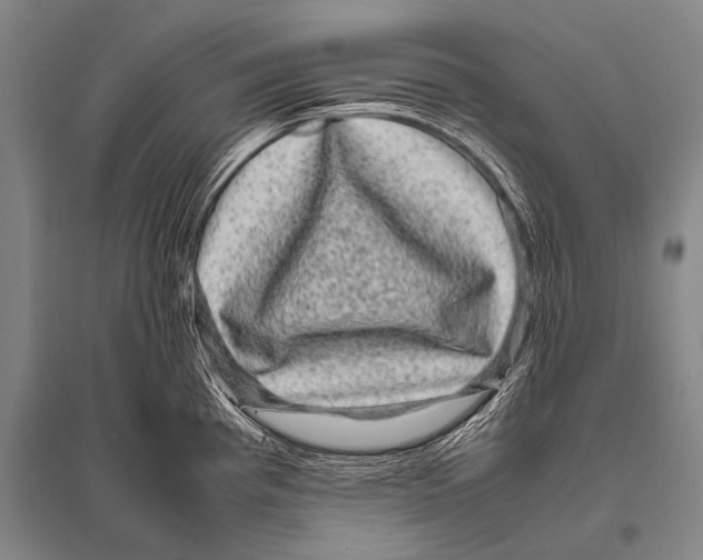 X0000094821193200712141638