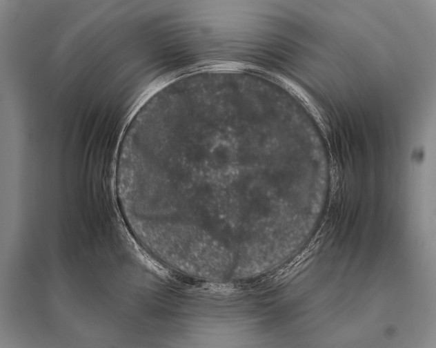 X0000094821194200712141638