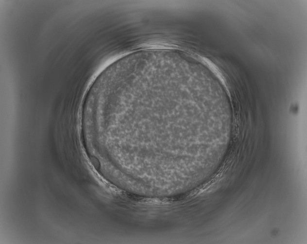 X0000094821195200712141638