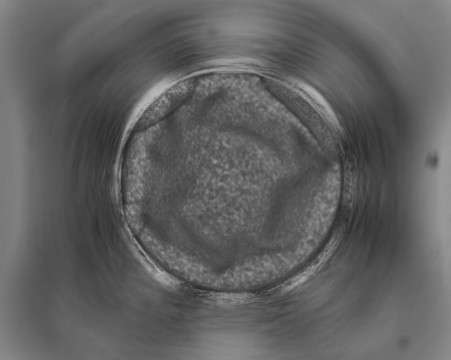 X0000094821196200712141638