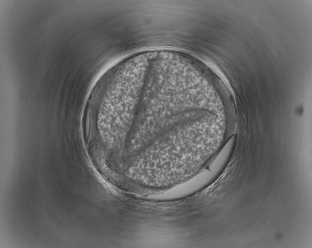 X0000094821197200712141638