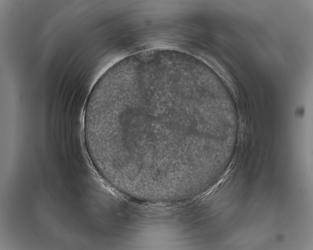 X0000094821198200712141638