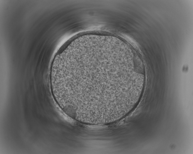 X0000094821200200712141638