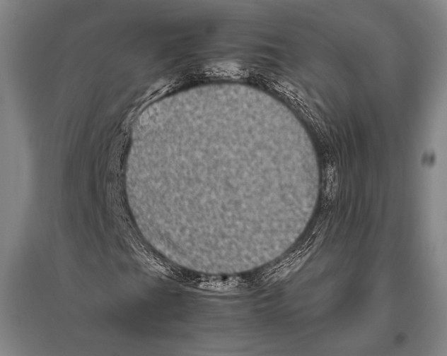 X0000094821201200712141637