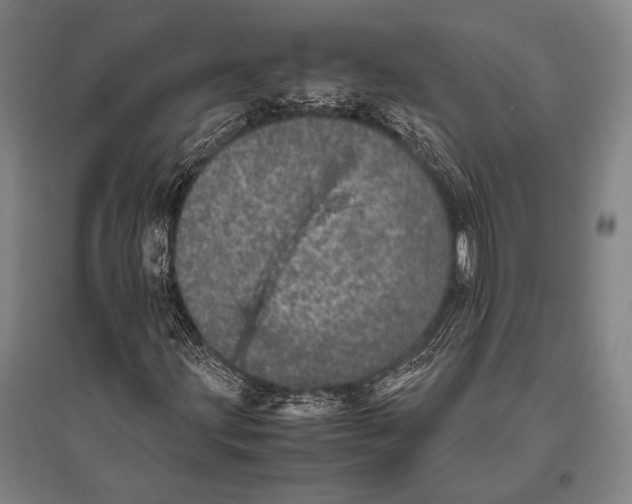 X0000094821203200712141637