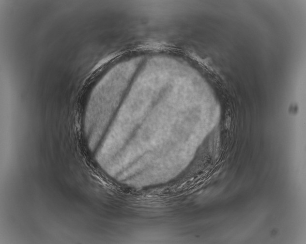 X0000094821206200712141637