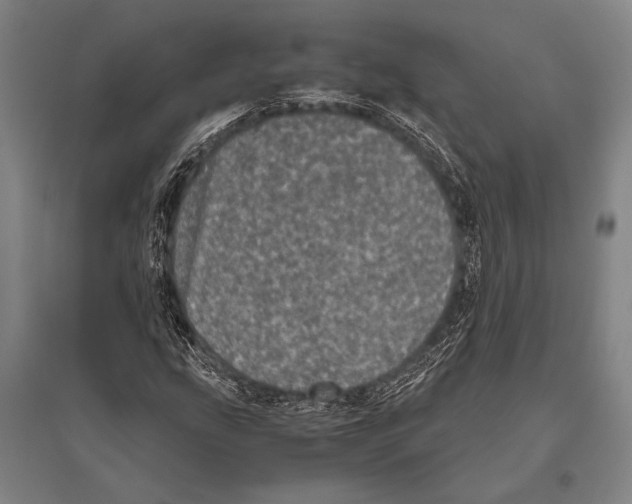 X0000094821207200712141637