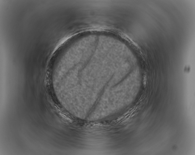 X0000094821208200712141637