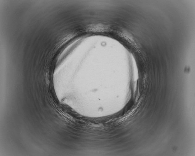 X0000094821209200712141637