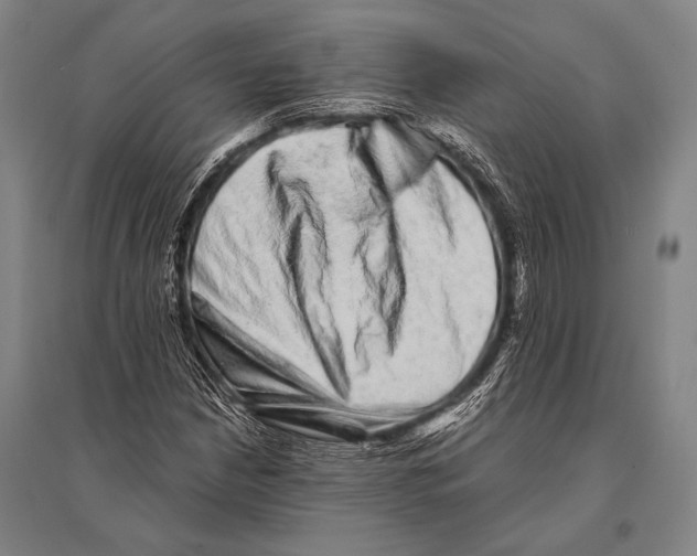 X0000094821210200712141637