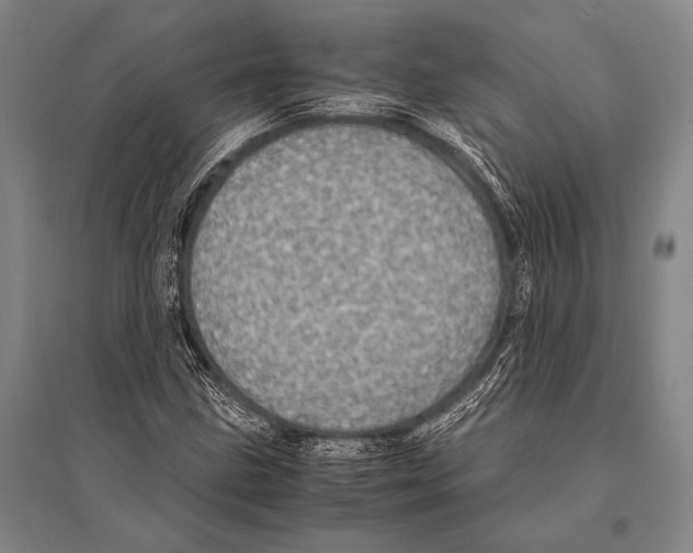 X0000094821211200712141637