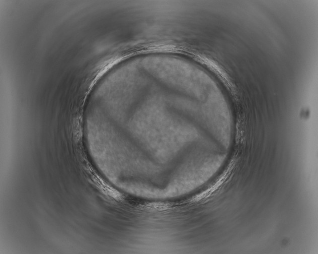 X0000094821212200712141637