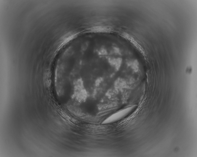 X0000094821213200712141637