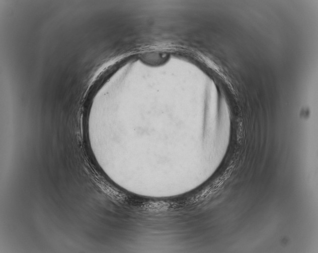 X0000094821214200712141637