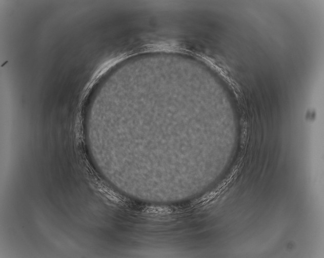 X0000094821215200712141637