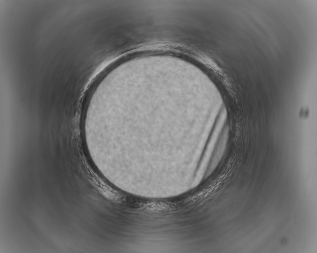 X0000094821216200712141637