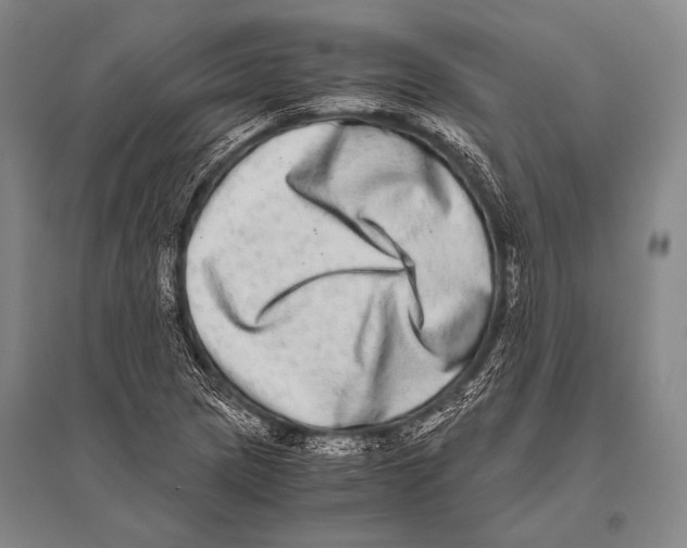 X0000094821217200712141637