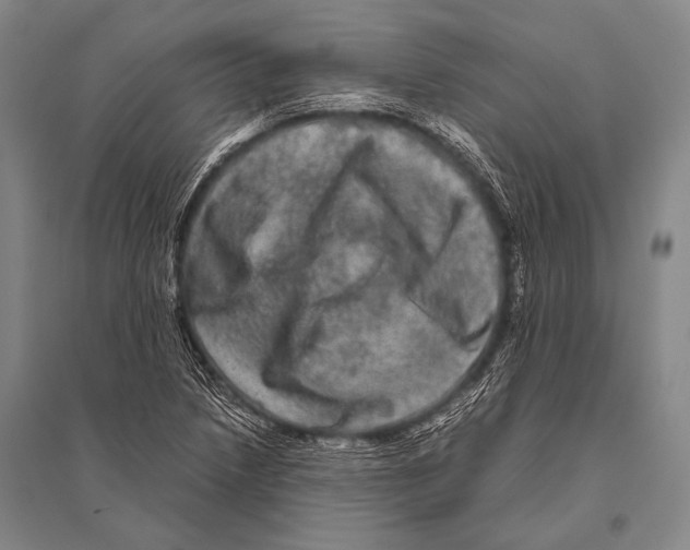 X0000094821218200712141637