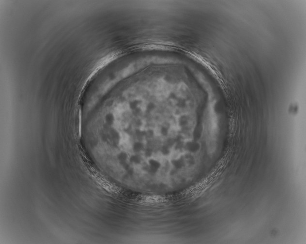 X0000094821219200712141637