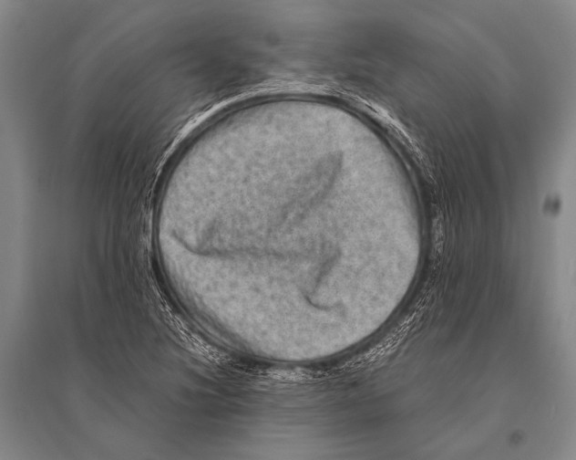 X0000094821220200712141637