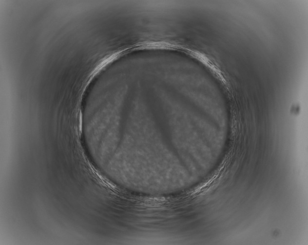 X0000094821221200712141637