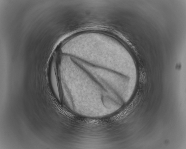 X0000094821222200712141637