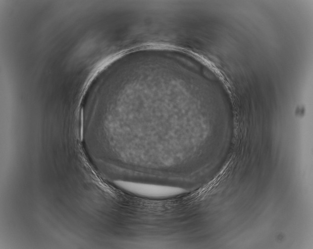 X0000094821223200712141637