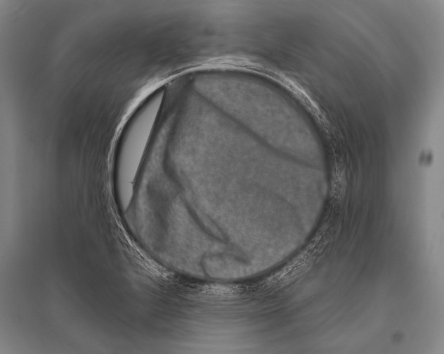 X0000094821224200712141637