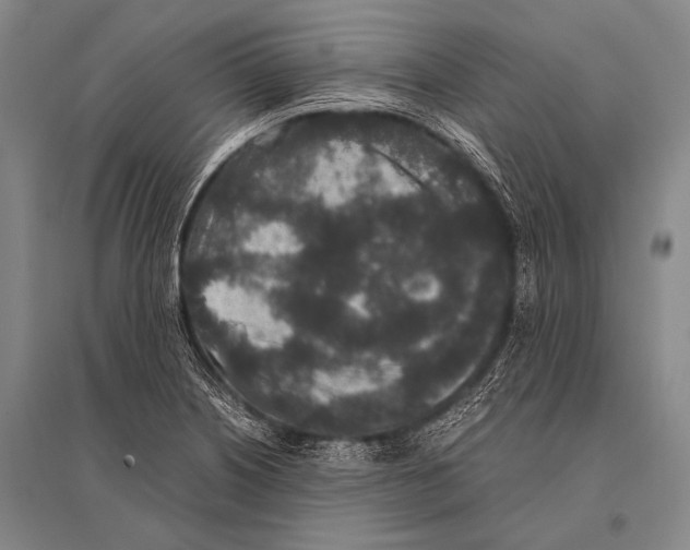 X0000094821226200712141637