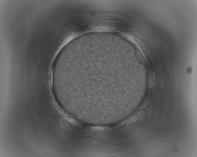 X0000094821227200712141637